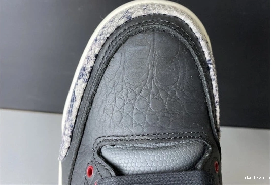 Retro 3 Air Animal SE Jordan CV3583-003 CV3583-003 Instinct 2.0 1016